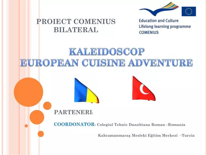 proiect comenius bilateral