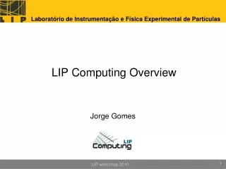 LIP Computing Overview