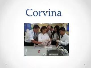corvina
