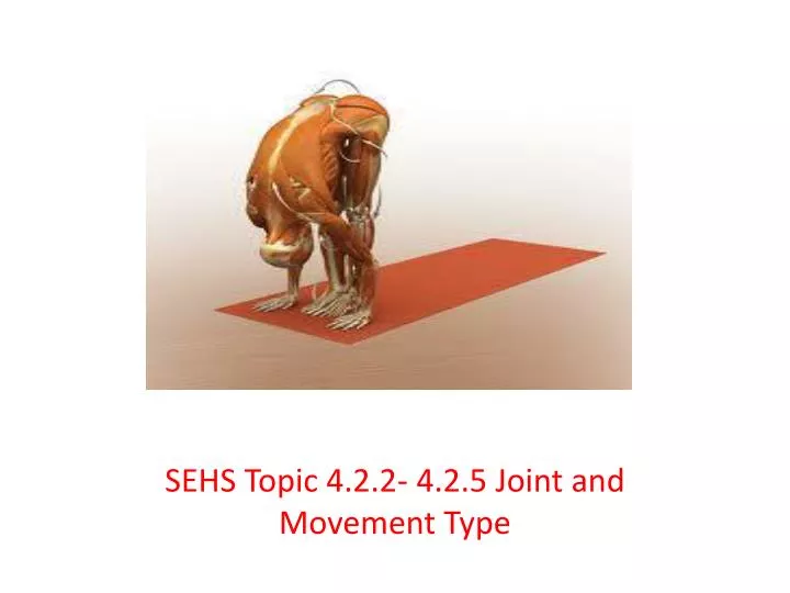sehs topic 4 2 2 4 2 5 joint and movement type