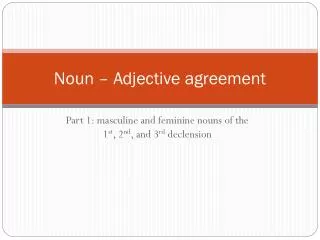 Noun – Adjective agreement