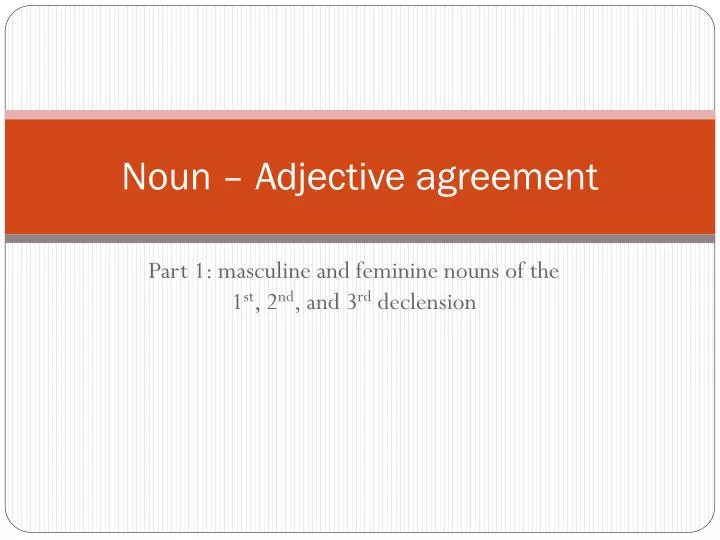 noun adjective agreement