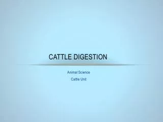 Cattle Digestion