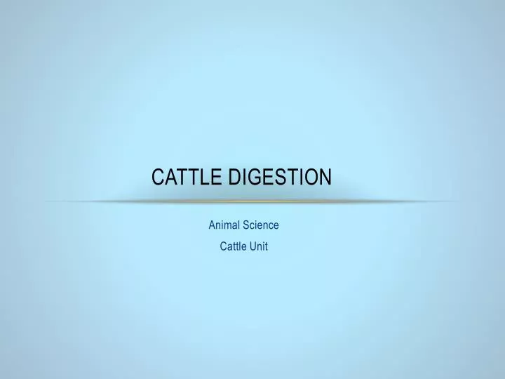 cattle digestion