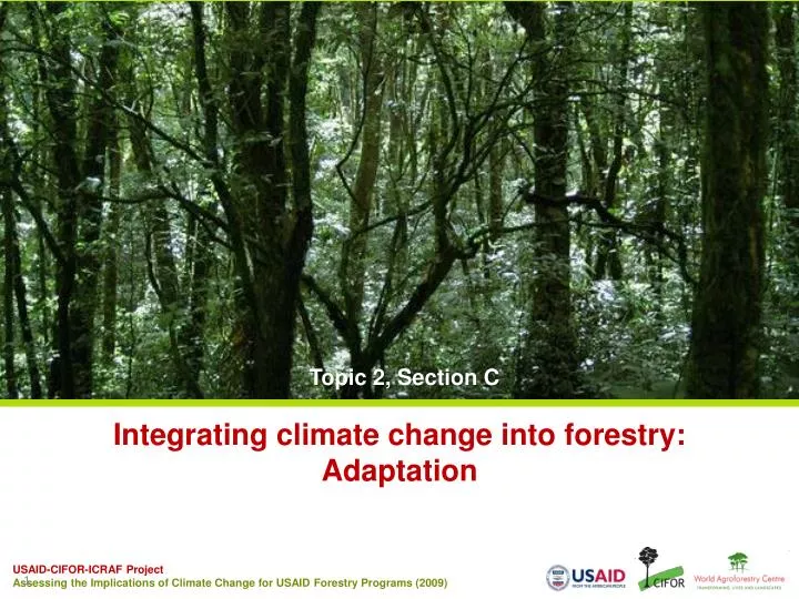 integrating climate change into forestry adaptation