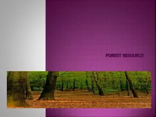 FOREST RESOURCE