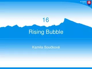 Rising Bubble