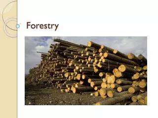 Forestry