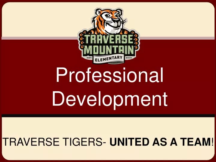 traverse tigers united as a team