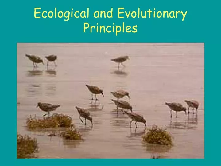 ecological and evolutionary principles