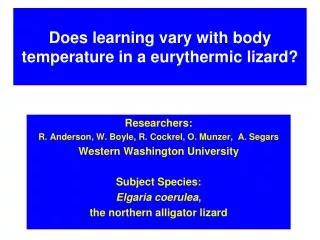 Does learning vary with body temperature in a eurythermic lizard?