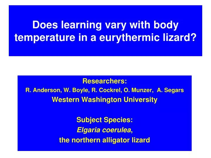 does learning vary with body temperature in a eurythermic lizard