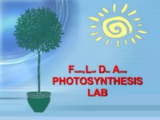 F loating L eaf D isc A ssay PHOTOSYNTHESIS LAB