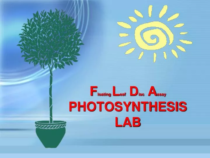 f loating l eaf d isc a ssay photosynthesis lab