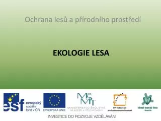 ekologie lesa