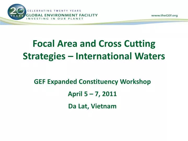 focal area and cross cutting strategies international waters