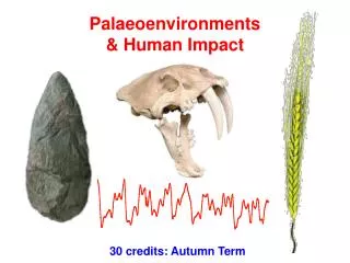 Palaeoenvironments &amp; Human Impact