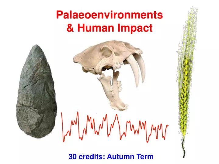 palaeoenvironments human impact