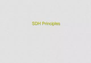 SDH Principles