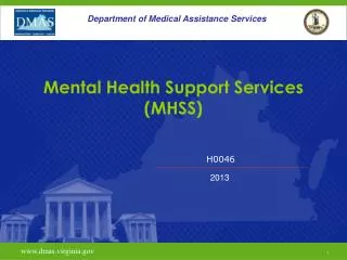 Mental Health Support Services (MHSS)
