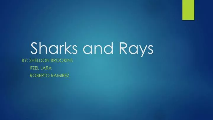 sharks and rays