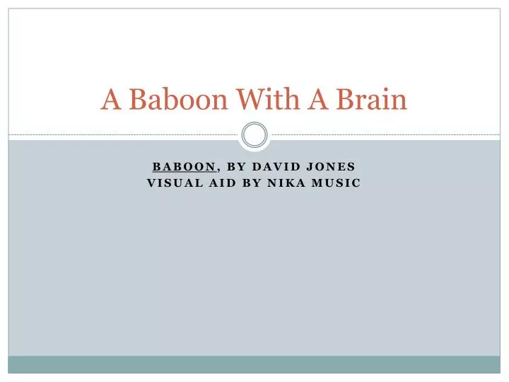 a baboon with a brain