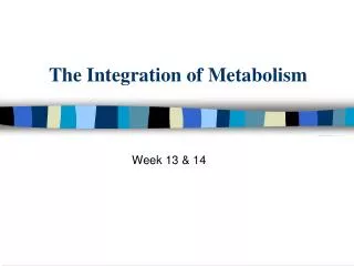 The Integration of Metabolism