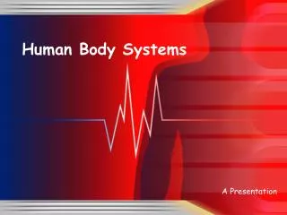 human body systems