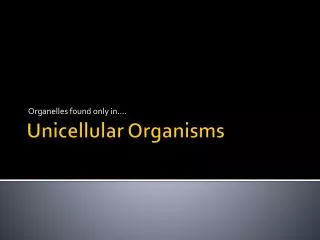 Unicellular Organisms