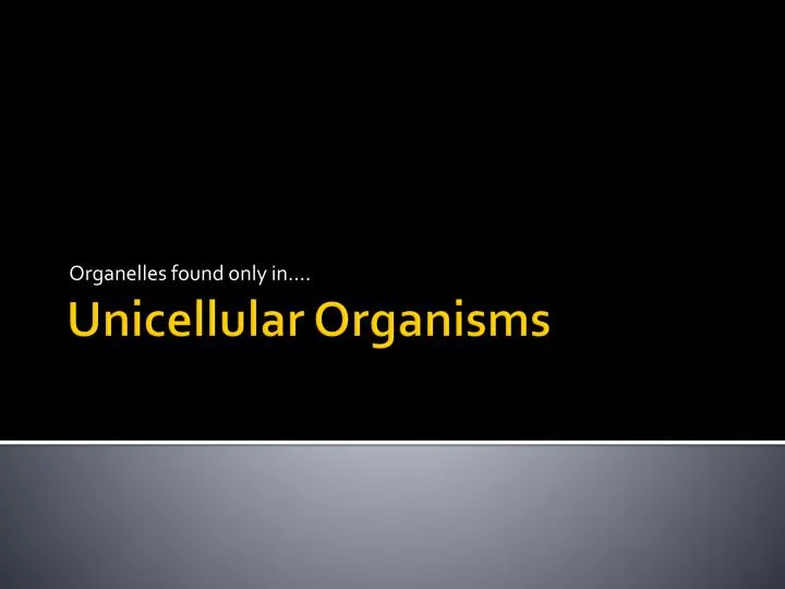 organelles found only in