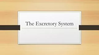 The Excretory System