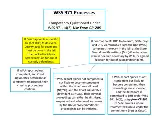 WSS 971 Processes Competency Questioned Under WSS 971.14(2)- Use Form CR-205