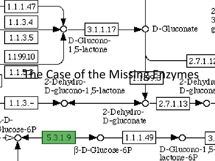 the case of the missing enzymes