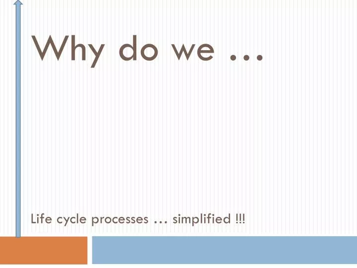 why do we life cycle processes simplified
