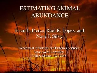 ESTIMATING ANIMAL ABUNDANCE