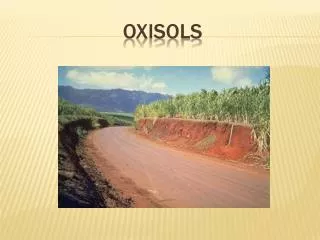 Oxisols