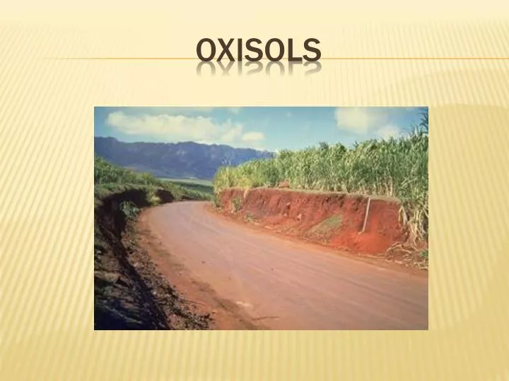 oxisols