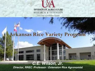 Arkansas Rice Production