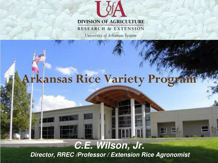 arkansas rice variety program c e wilson jr director rrec professor extension rice agronomist