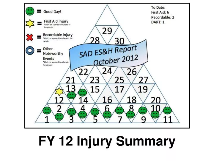 fy 12 injury summary