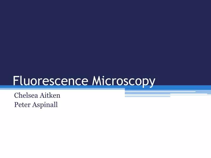 fluorescence microscopy