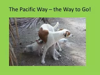 The Pacific Way – the Way to Go!