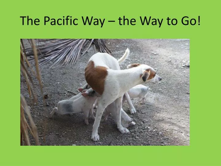 the pacific way the way to go
