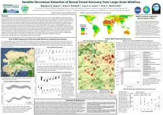 Satellite Microwave Detection of Boreal Forest Recovery from Large-Scale Wildfires