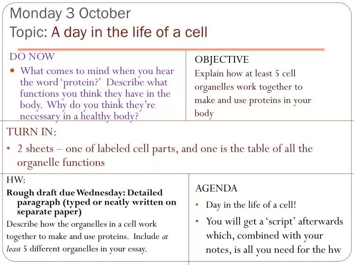 monday 3 october topic a day in the life of a cell