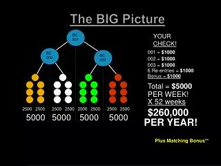 The BIG Picture