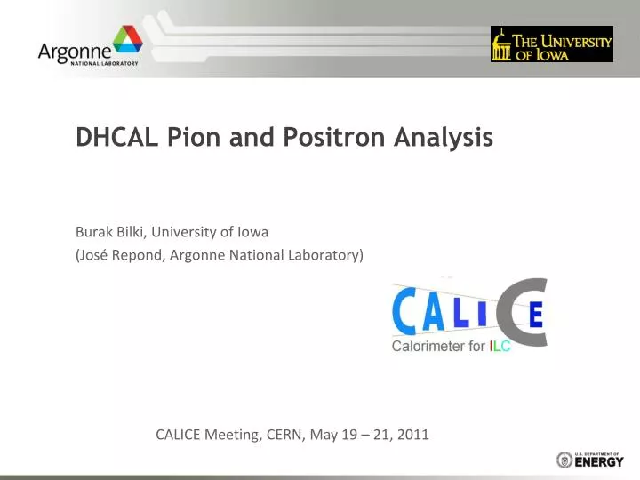 dhcal pion and positron analysis