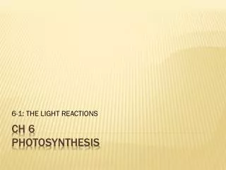 Ch 6 PHOTOSYNTHESIS