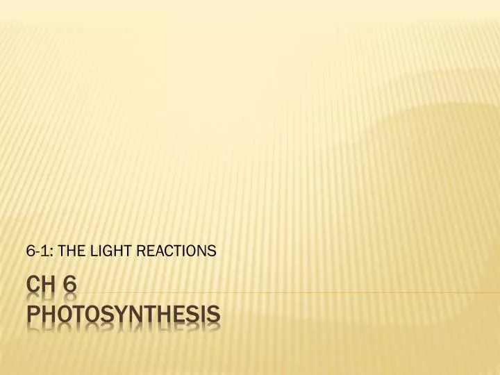 6 1 the light reactions