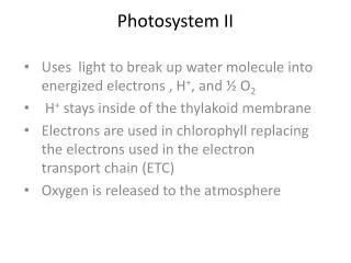 Photosystem II